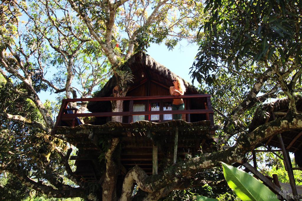 Art Jungle Hotel Itacaré Kültér fotó