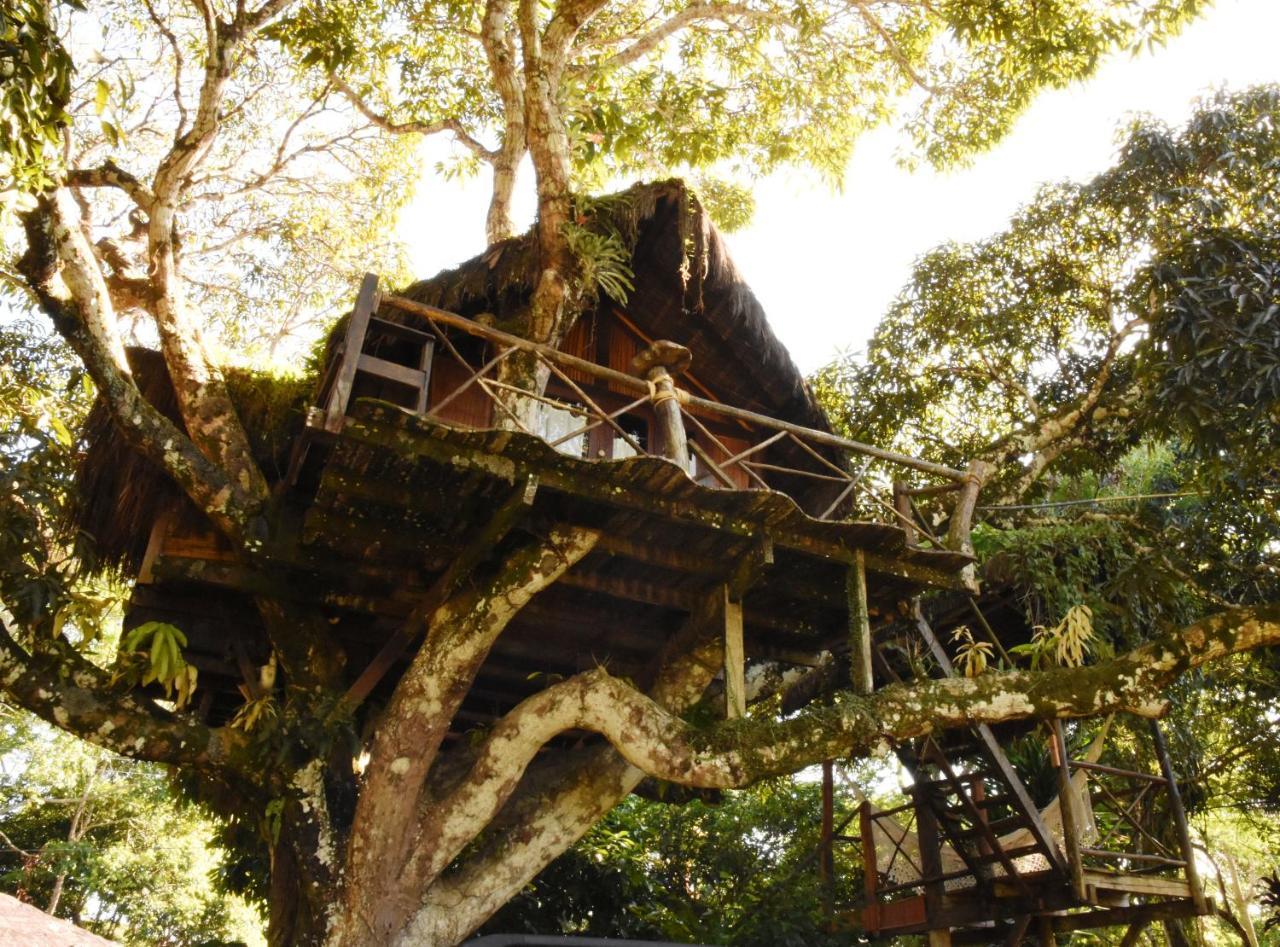 Art Jungle Hotel Itacaré Kültér fotó