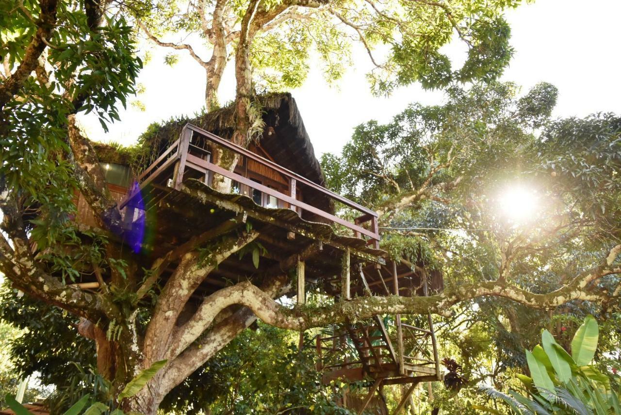 Art Jungle Hotel Itacaré Kültér fotó
